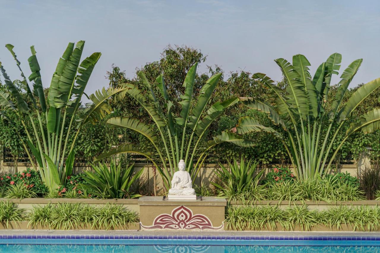 Hotel Sterling Gir Talala Exterior foto